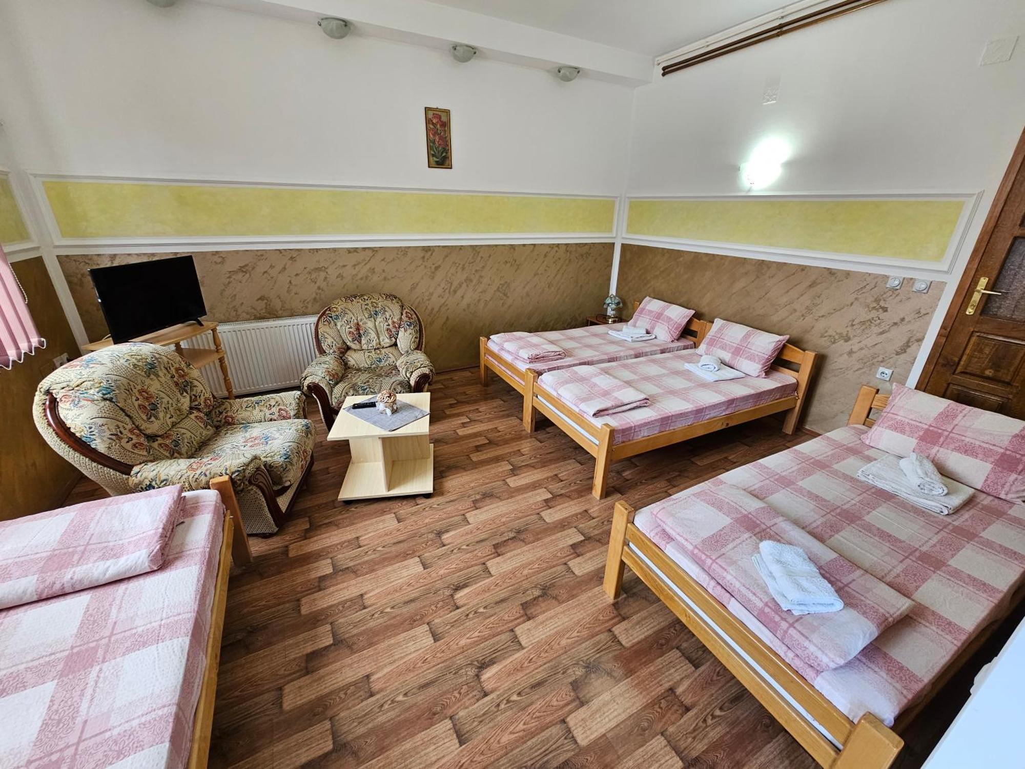 Apartments Nikolic Сокобаня Екстер'єр фото